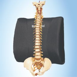 Bodyassist Deluxe Back Rest Cushion